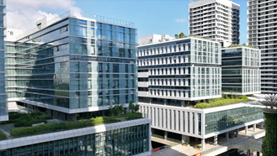 尊鴻 聚丙烯酰胺凈水效果實驗 污泥快速脫水沉淀劑